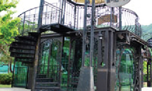 사랑이 꽃피는 나무 [이미지]